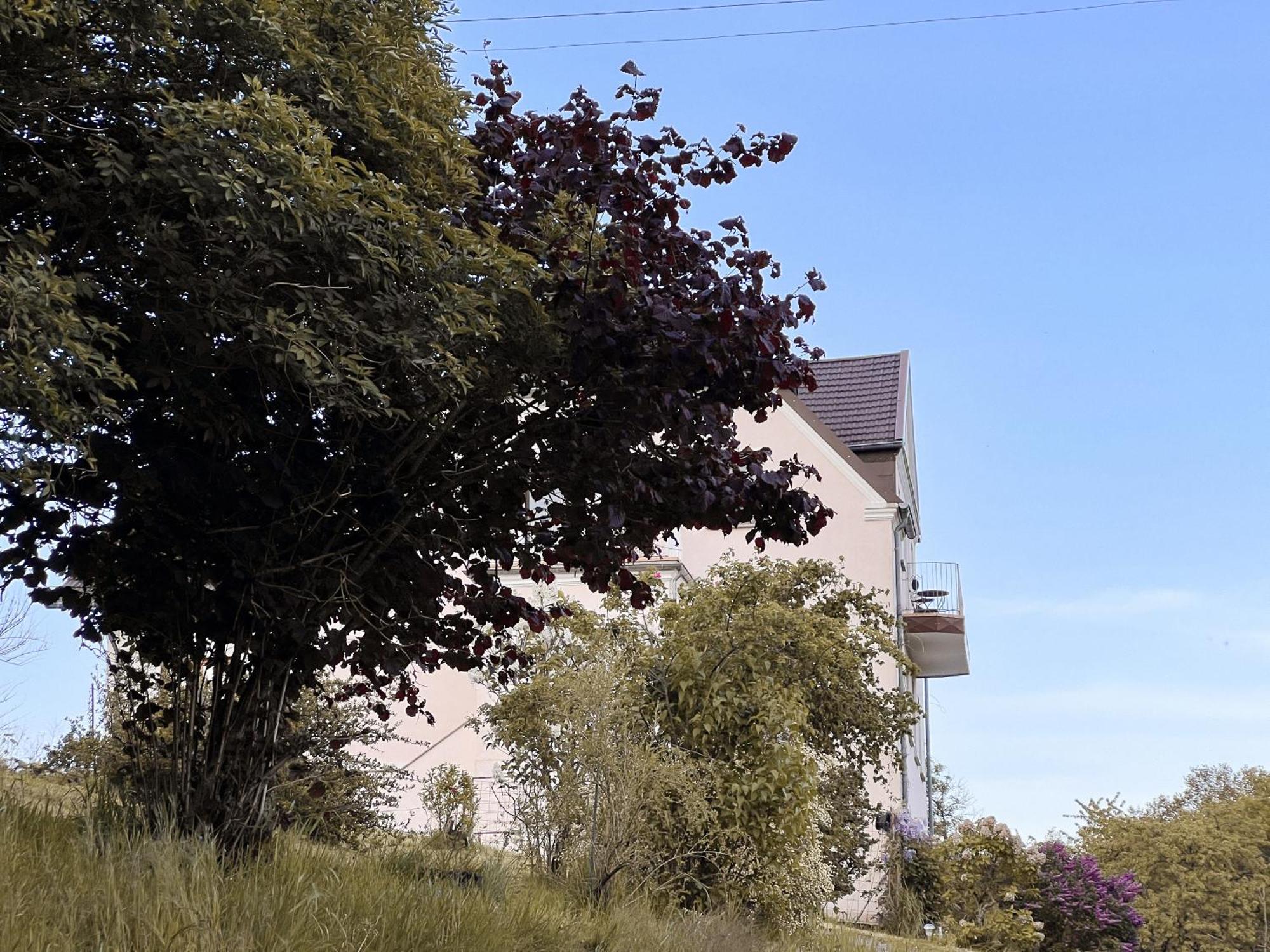 Villa Ueberblick Nalbach Buitenkant foto