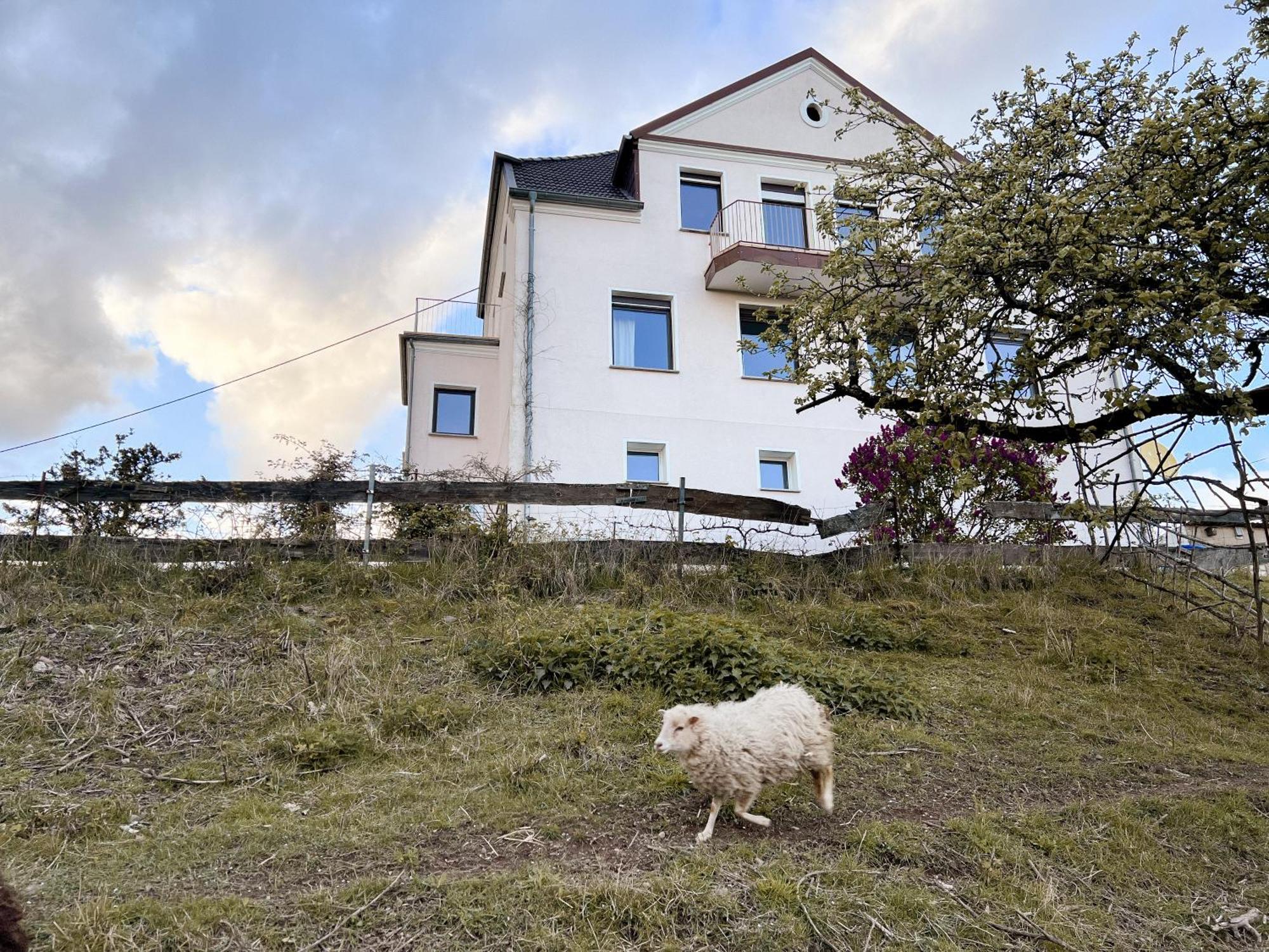 Villa Ueberblick Nalbach Buitenkant foto