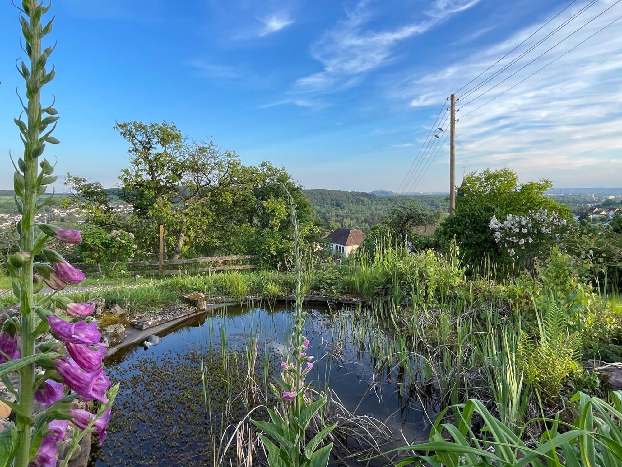 Villa Ueberblick Nalbach Buitenkant foto